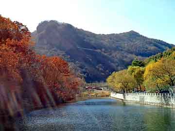 澳门天天开奖免费资料，湿地松种子价格